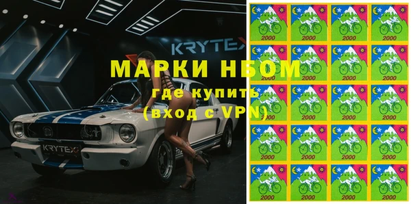 шишки Саяногорск