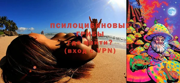 шишки Баксан
