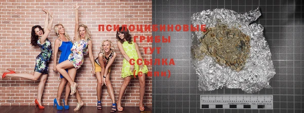 шишки Баксан