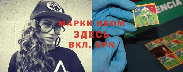 шишки Баксан