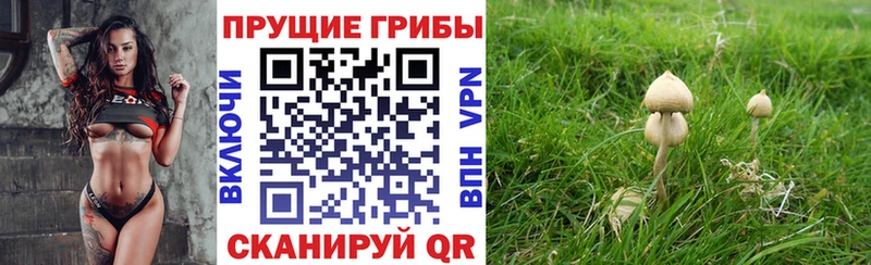 Галлюциногенные грибы мухоморы Меленки